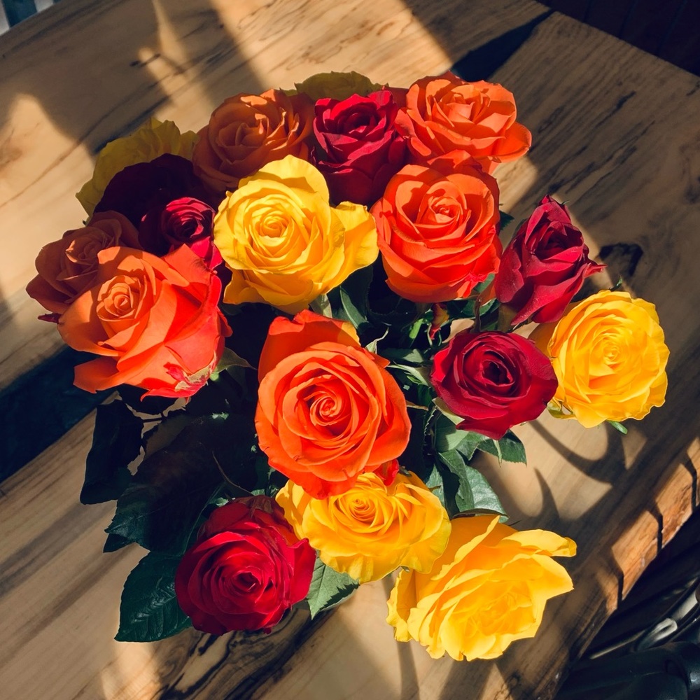 Meet your Posher, Alexandra